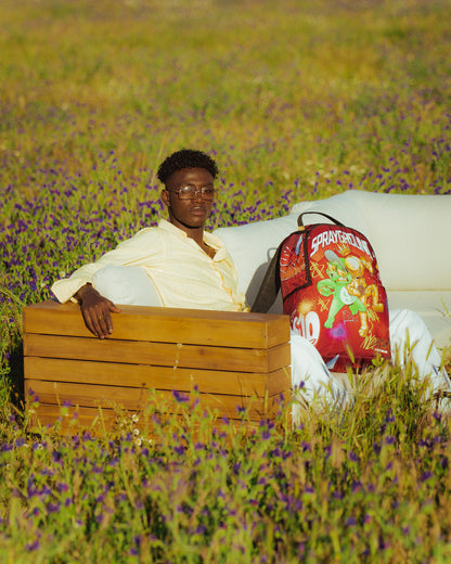 MONEY BEAR VS ASTROMANE (DLXR)