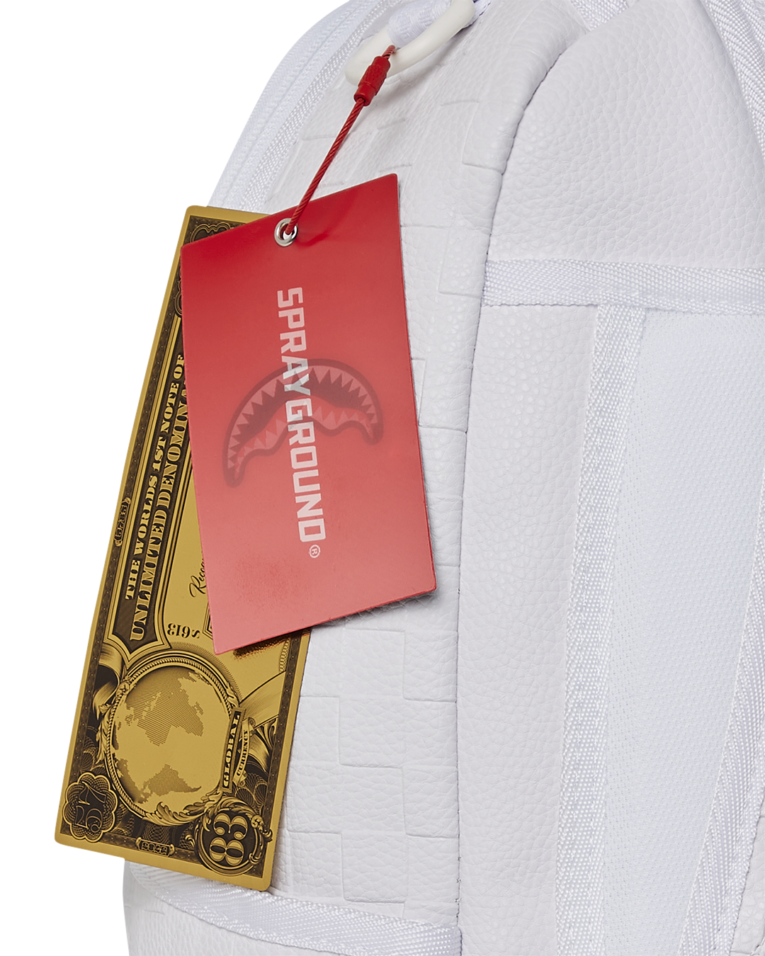 SHOW UP SHOW OUT BACKPACK (DLXV)