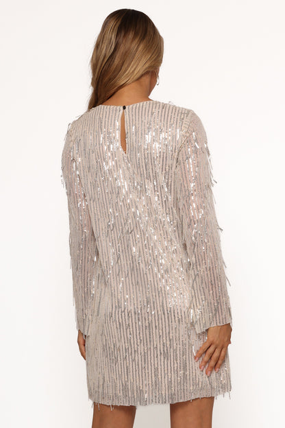 Serena Sequin Mini Dress - Nude/Silver