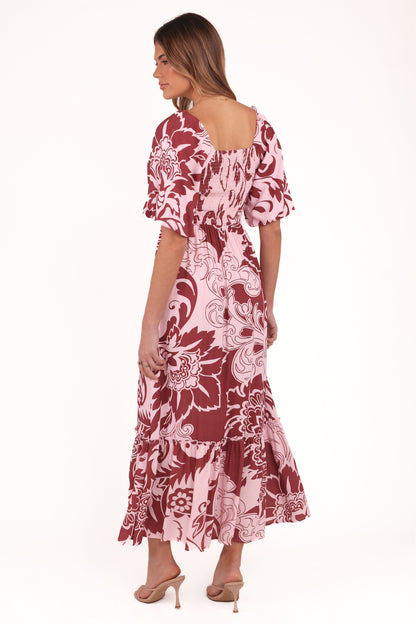 Shanae Maxi Dress - Pink Brown Paisley