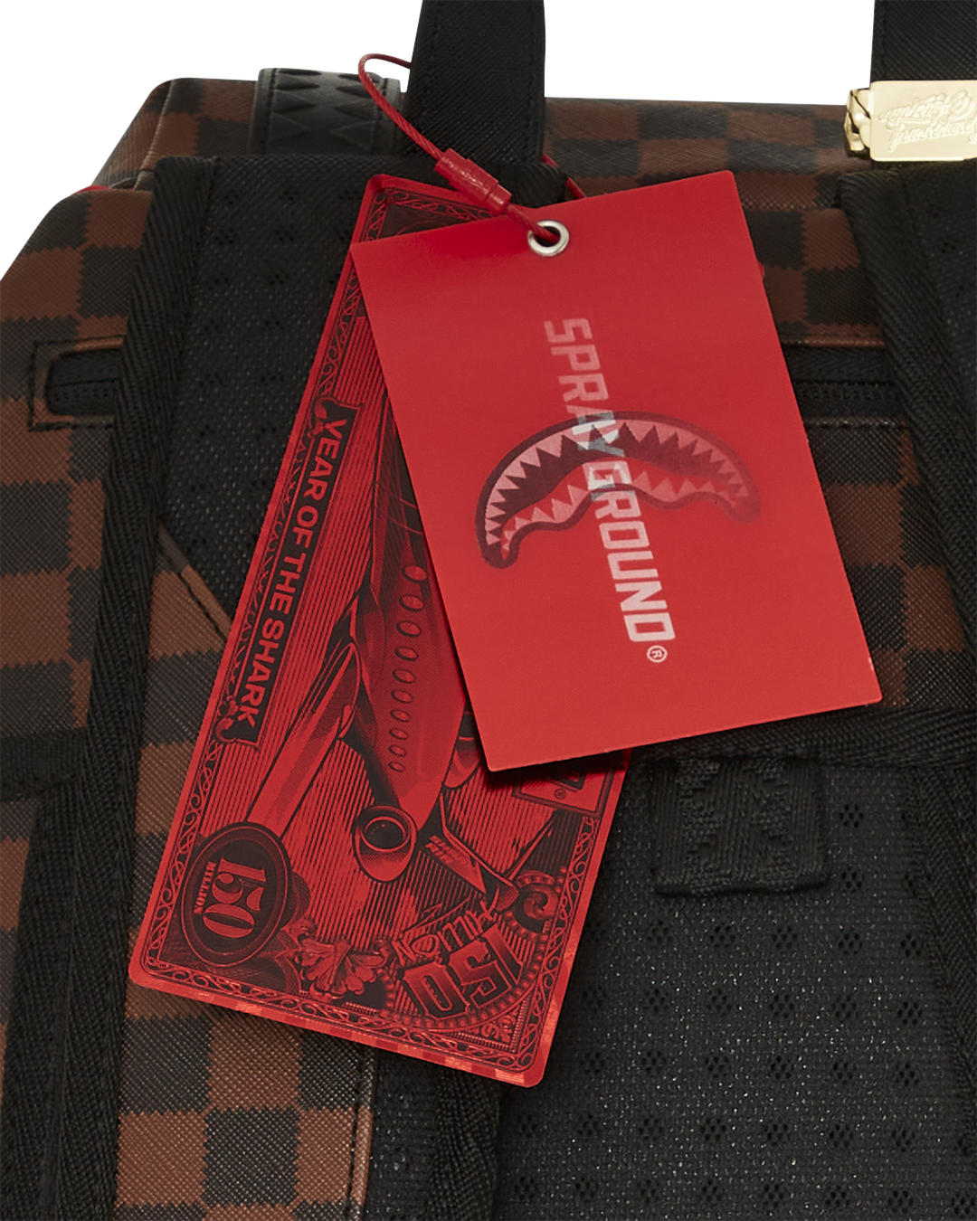 SAWTOOTH SHARKS IN PARIS HILLS BACKPACK