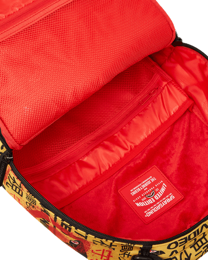 CCTV SECTOR 404 BACKPACK