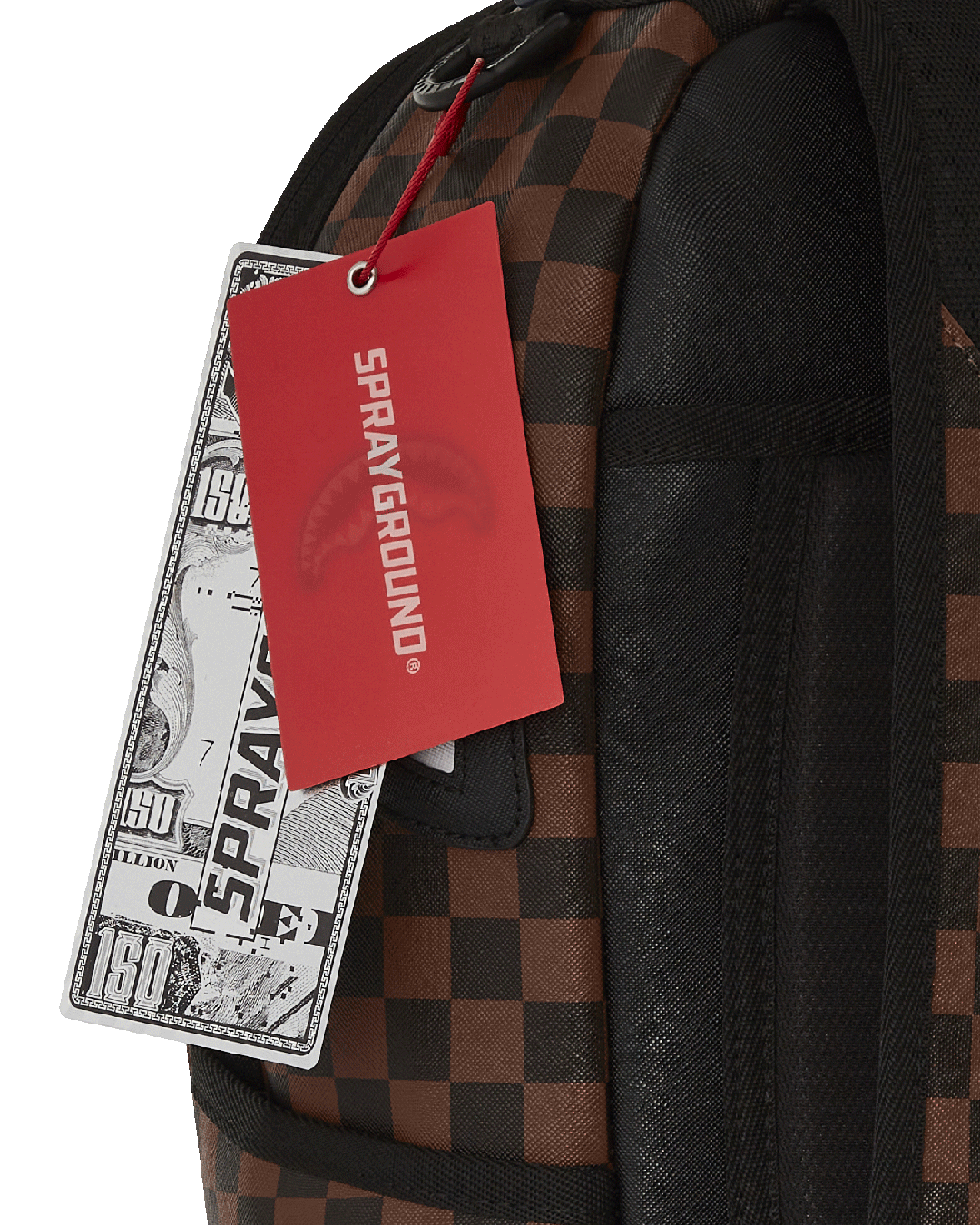 SHARKS IN PARIS GT BACKPACK