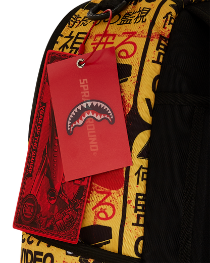 CCTV SECTOR 404 BACKPACK