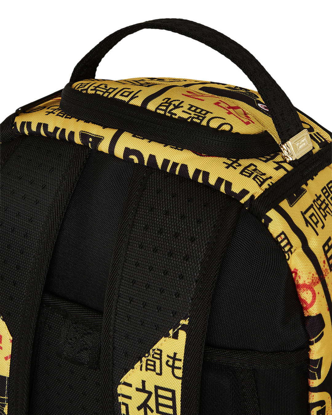 CCTV SECTOR 404 BACKPACK