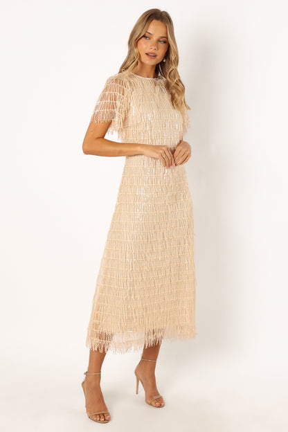 Kala Textured Maxi Dress - Beige