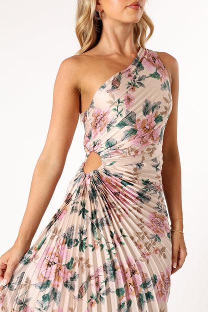 Kleo One Shoulder Maxi Dress - Pink Floral